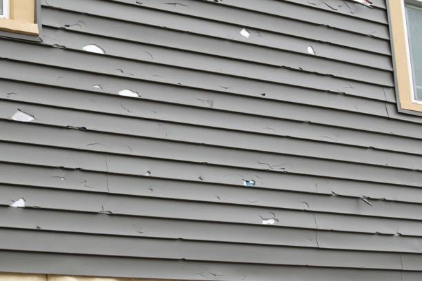 Best Same-Day Junk Removal Services  in Niagara, WI