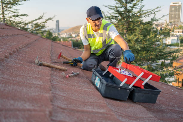 Best Yard Waste Removal  in Niagara, WI